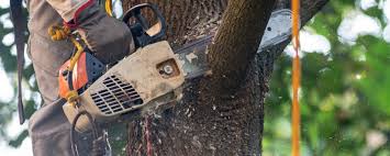 Best Aeration Services  in Leonardo, NJ