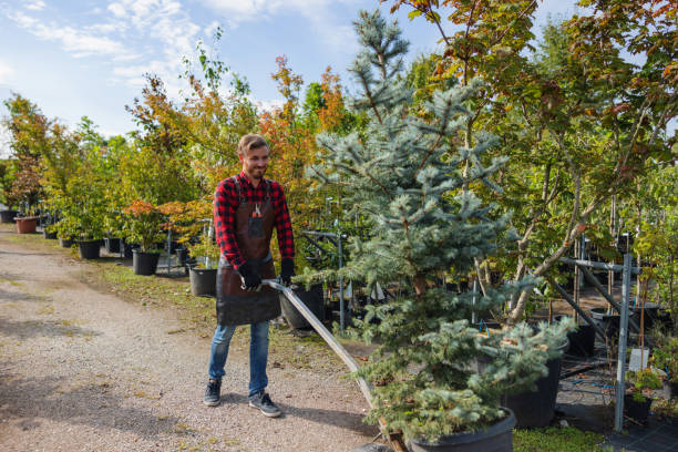 Best Tree and Shrub Care  in Leonardo, NJ
